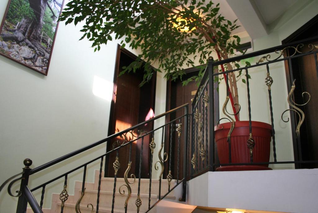 Family Hotel Zora Raslog Exterior foto
