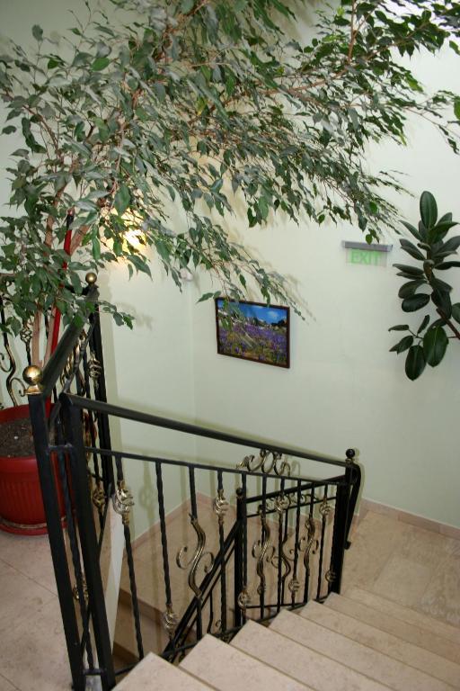Family Hotel Zora Raslog Exterior foto